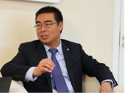 组织蛀虫蔓延后的深层警示 董安银案件的反思